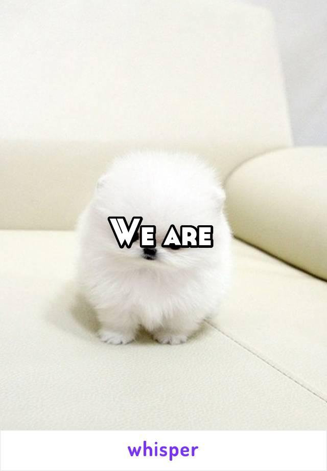 We are 