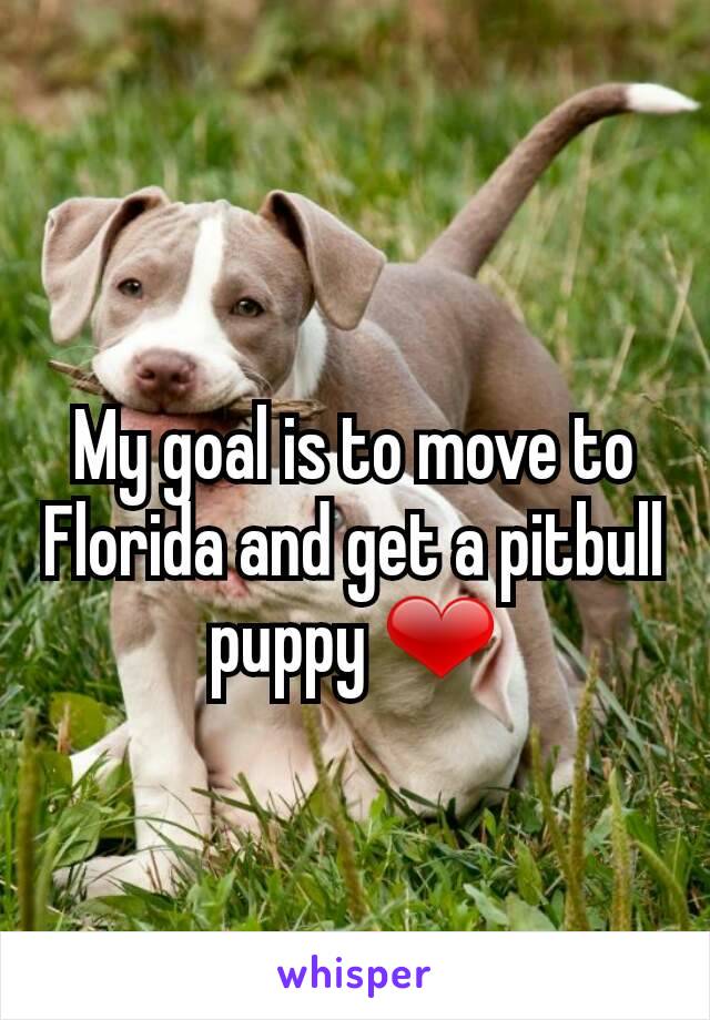 My goal is to move to Florida and get a pitbull puppy ❤