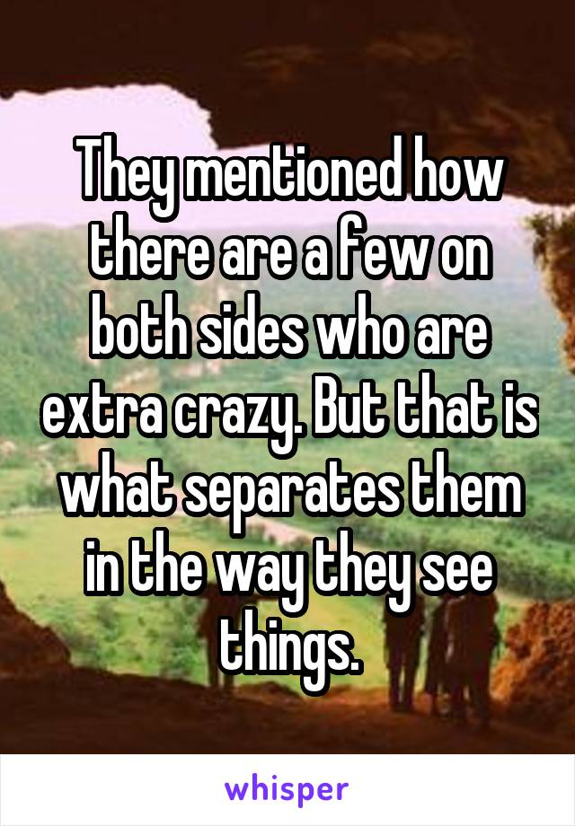 They mentioned how there are a few on both sides who are extra crazy. But that is what separates them in the way they see things.