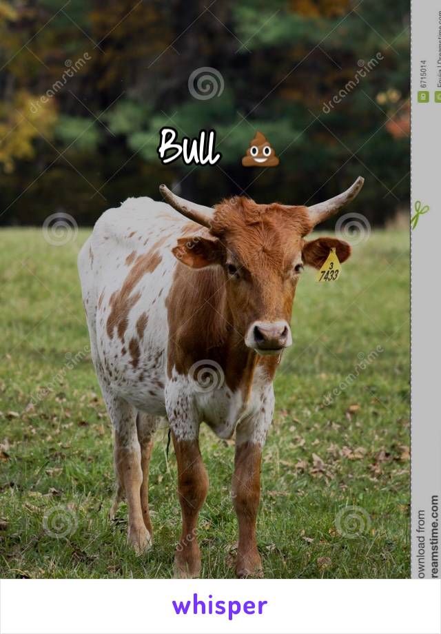 Bull 💩