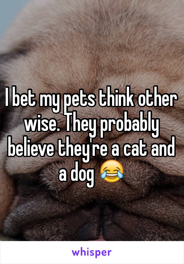 I bet my pets think other wise. They probably believe they're a cat and a dog 😂