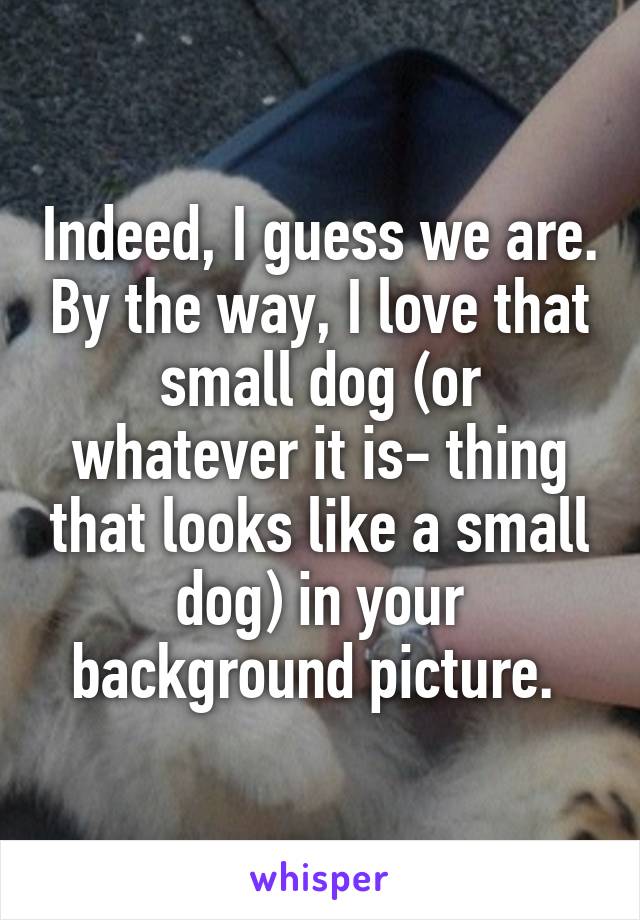 Indeed, I guess we are. By the way, I love that small dog (or whatever it is- thing that looks like a small dog) in your background picture. 