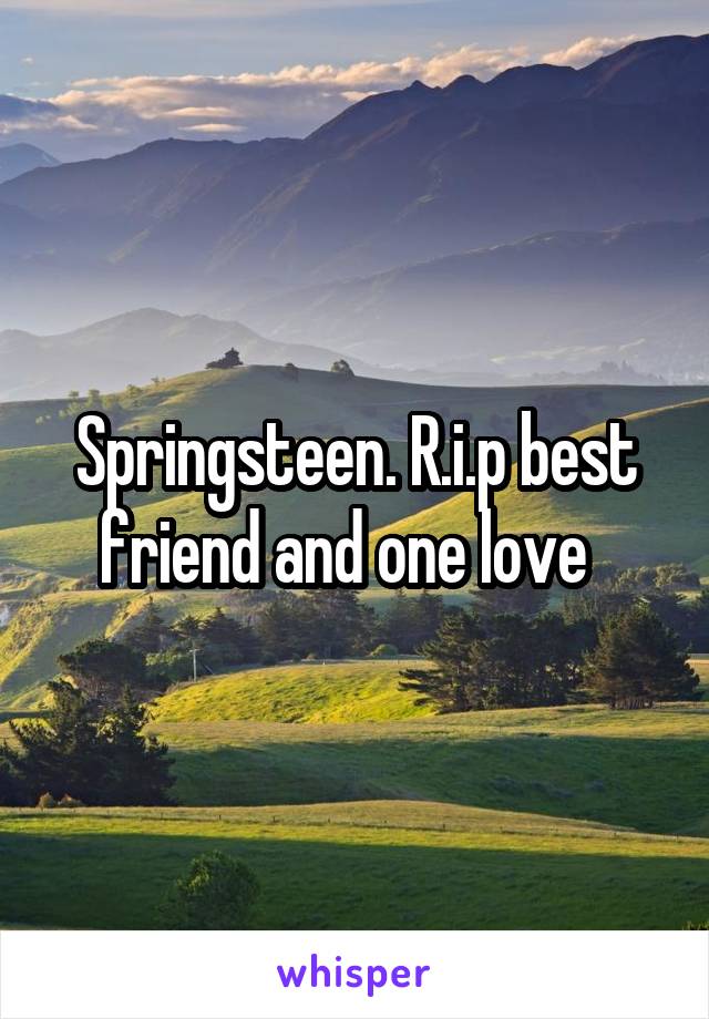 Springsteen. R.i.p best friend and one love  