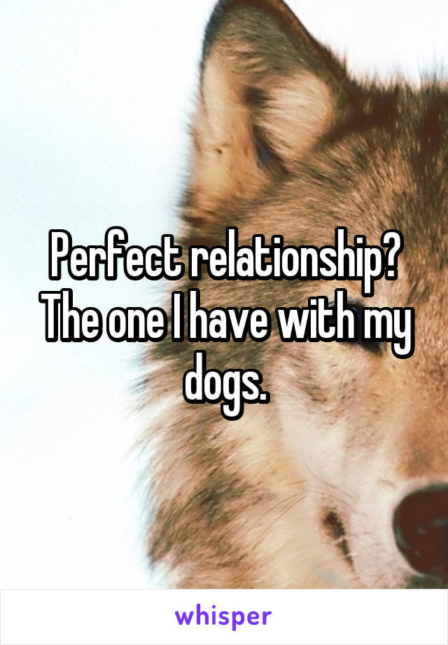 Perfect relationship? The one I have with my dogs.