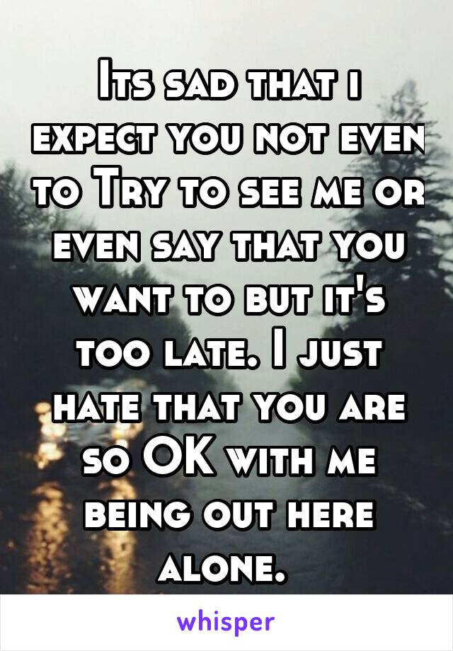 Its sad that i expect you not even to Try to see me or even say that you want to but it's too late. I just hate that you are so OK with me being out here alone. 