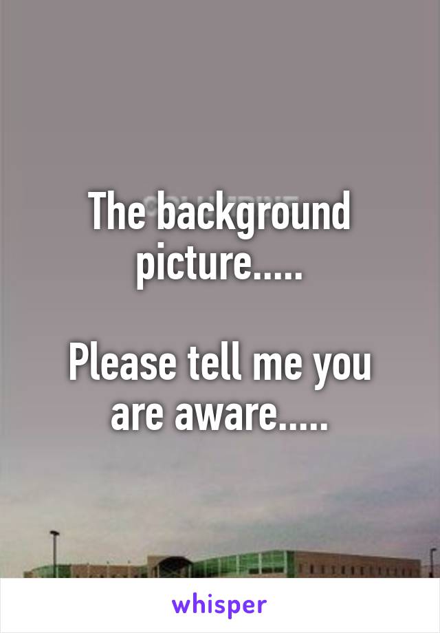 The background picture.....

Please tell me you are aware.....