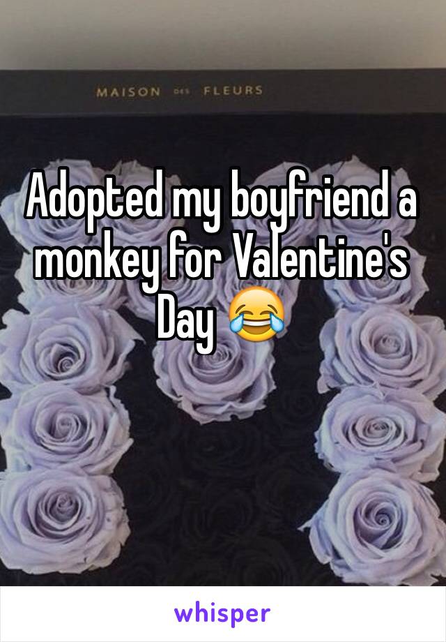 Adopted my boyfriend a monkey for Valentine's Day 😂
