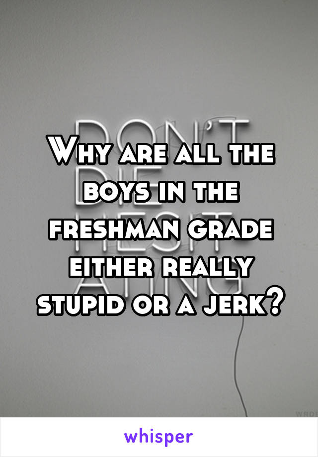 Why are all the boys in the freshman grade either really stupid or a jerk?