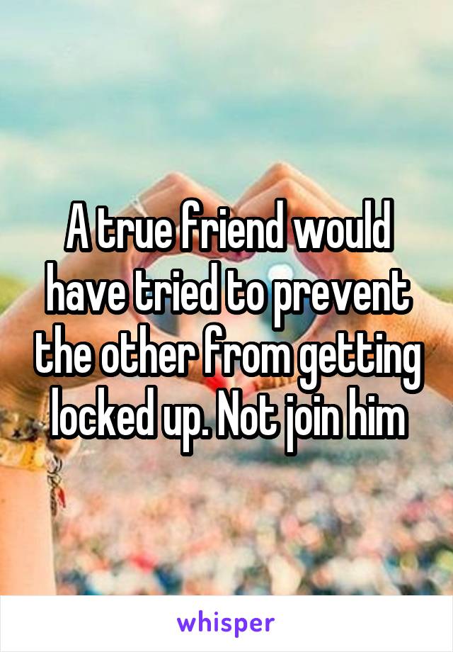 A true friend would have tried to prevent the other from getting locked up. Not join him
