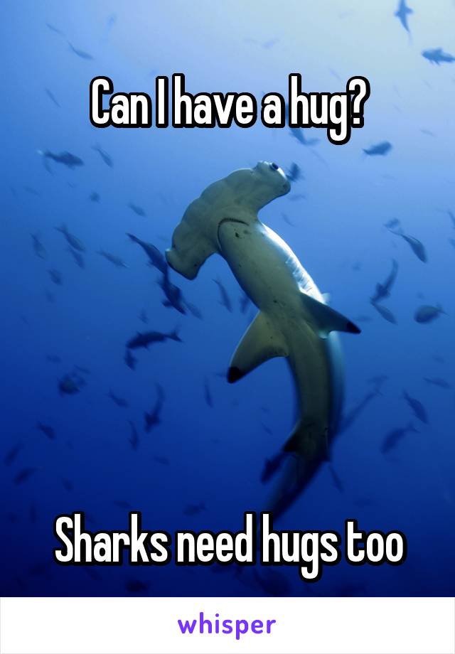 Can I have a hug?






Sharks need hugs too