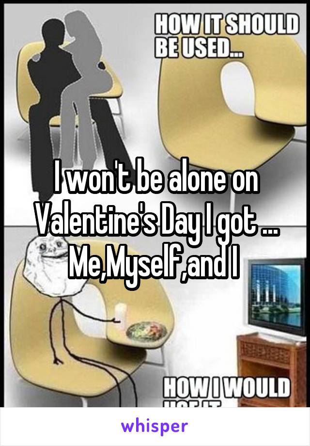 I won't be alone on Valentine's Day I got ... Me,Myself,and I 
