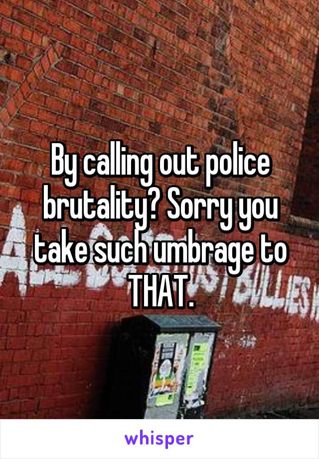 By calling out police brutality? Sorry you take such umbrage to THAT.