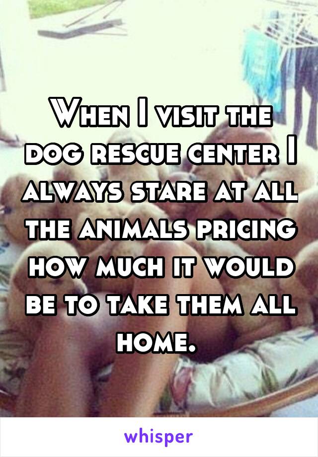 When I visit the dog rescue center I always stare at all the animals pricing how much it would be to take them all home. 