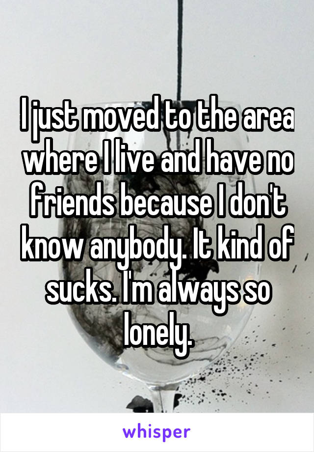 I just moved to the area where I live and have no friends because I don't know anybody. It kind of sucks. I'm always so lonely.