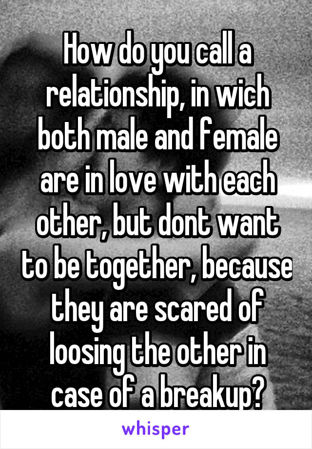 How do you call a relationship, in wich both male and female are in love with each other, but dont want to be together, because they are scared of loosing the other in case of a breakup?