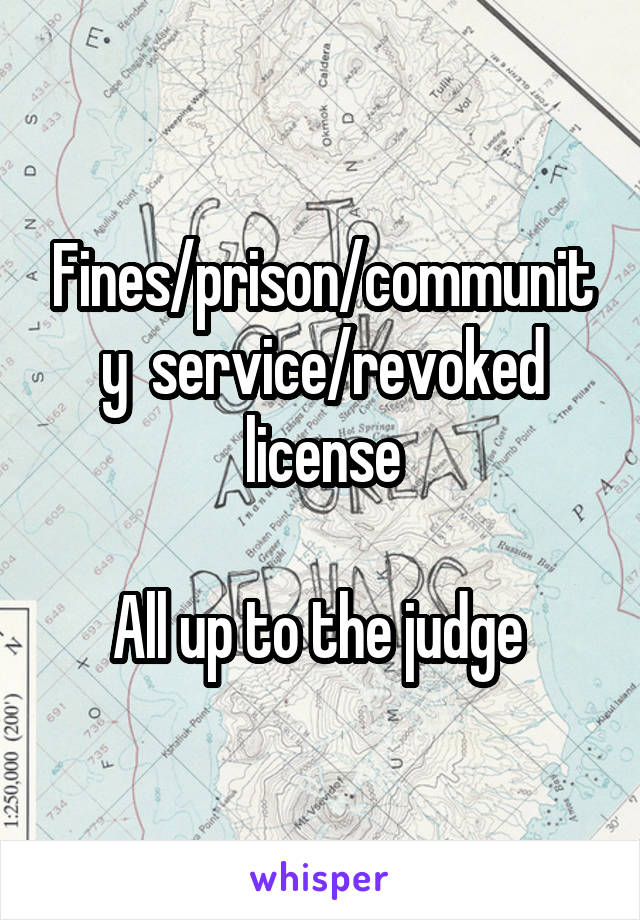 Fines/prison/community  service/revoked license

All up to the judge 