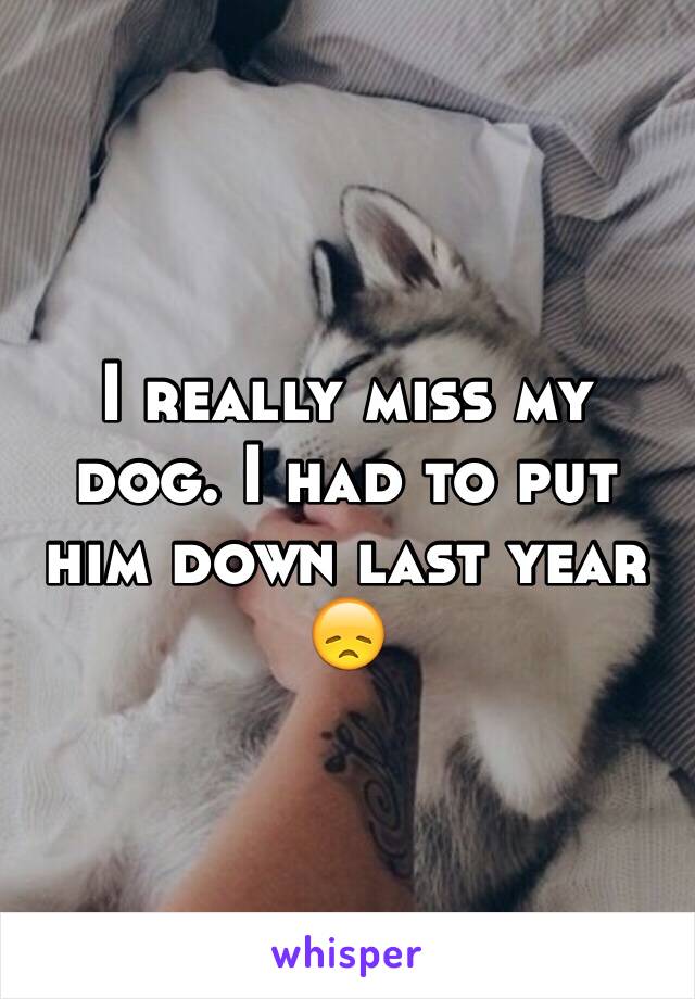I really miss my dog. I had to put him down last year ðŸ˜ž