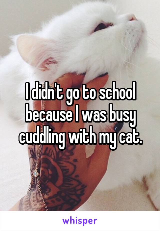 I didn't go to school because I was busy cuddling with my cat.