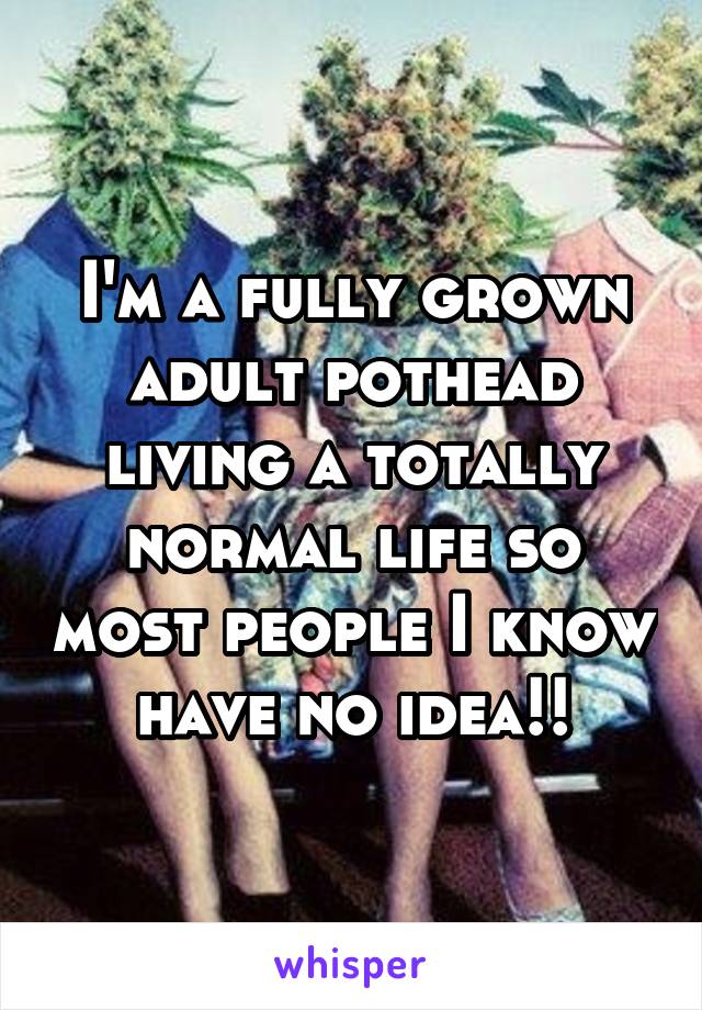 I'm a fully grown adult pothead living a totally normal life so most people I know have no idea!!