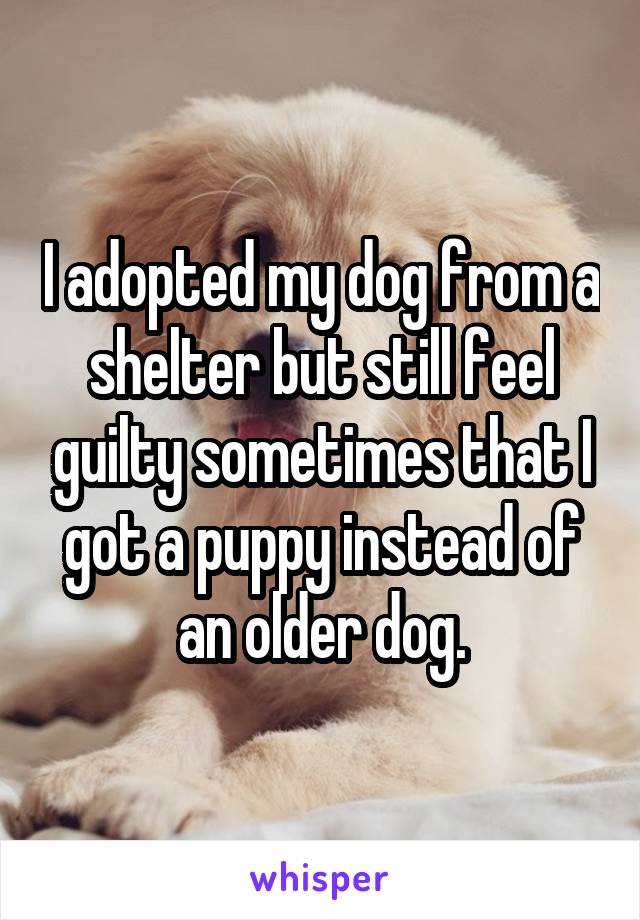 I adopted my dog from a shelter but still feel guilty sometimes that I got a puppy instead of an older dog.