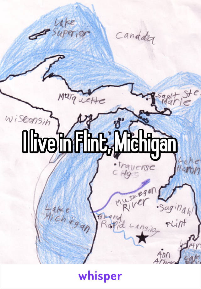 I live in Flint, Michigan 