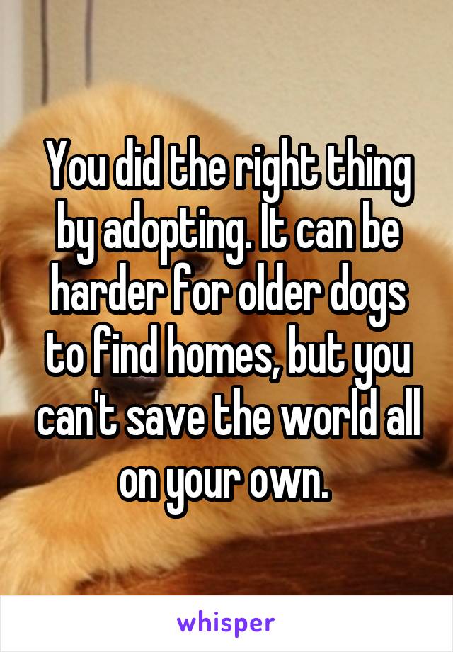You did the right thing by adopting. It can be harder for older dogs to find homes, but you can't save the world all on your own. 