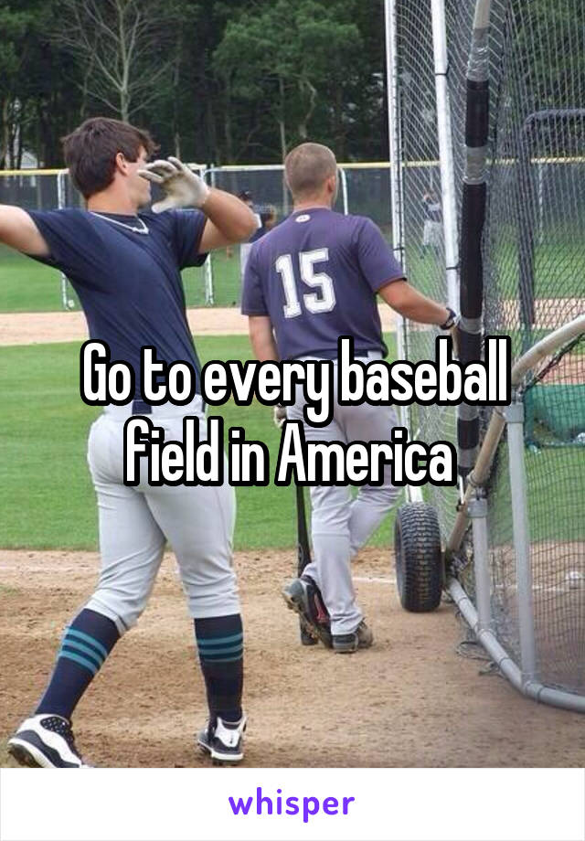 Go to every baseball field in America 