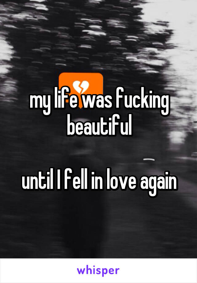 my life was fucking beautiful

until I fell in love again