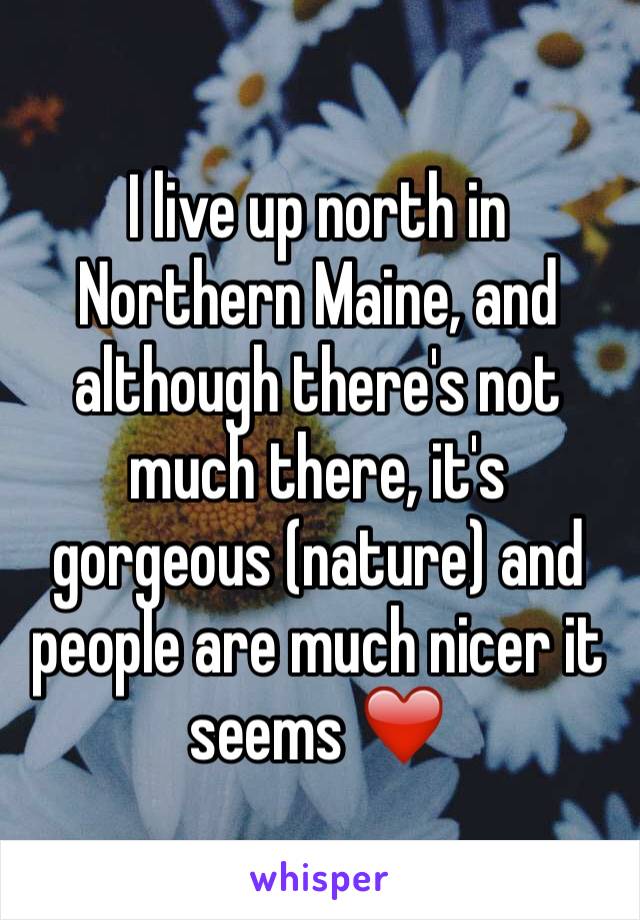 I live up north in Northern Maine, and although there's not much there, it's gorgeous (nature) and people are much nicer it seems ❤️