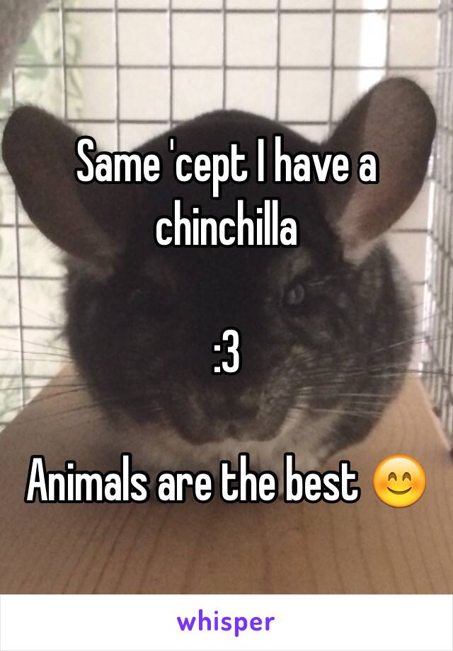 Same 'cept I have a chinchilla

:3

Animals are the best 😊