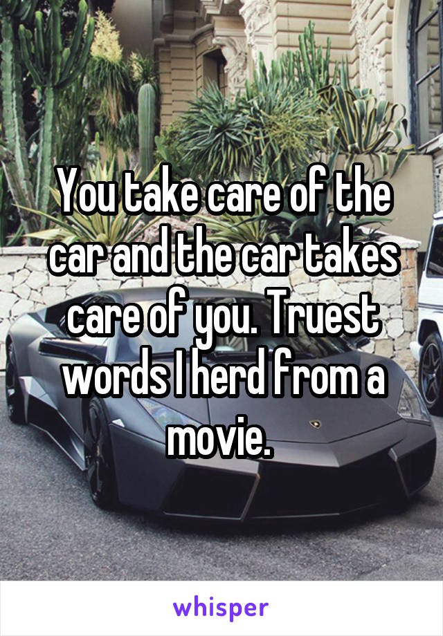 You take care of the car and the car takes care of you. Truest words I herd from a movie. 