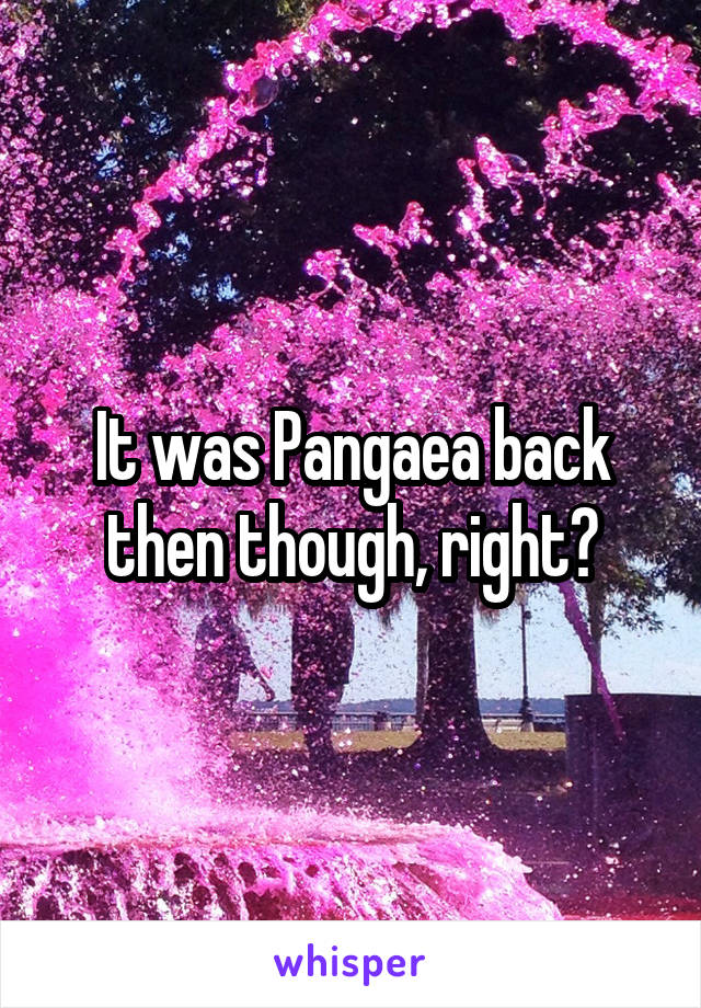 It was Pangaea back then though, right?