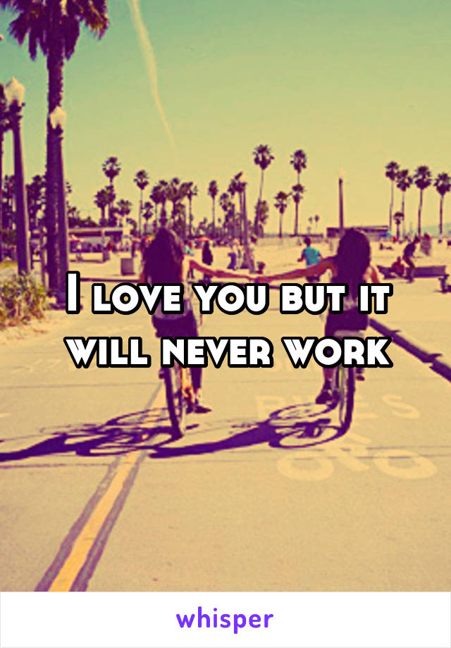 I love you but it will never work