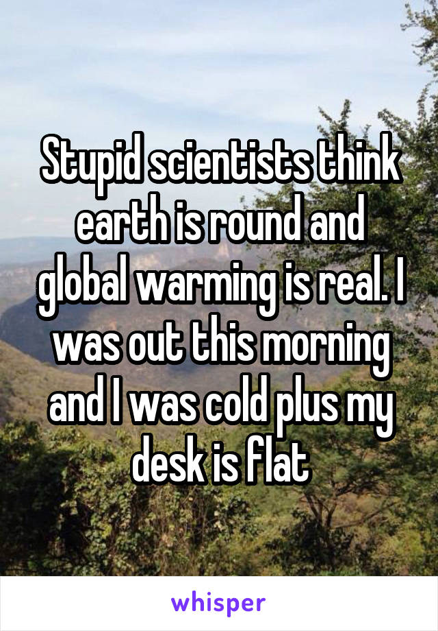 Stupid scientists think earth is round and global warming is real. I was out this morning and I was cold plus my desk is flat