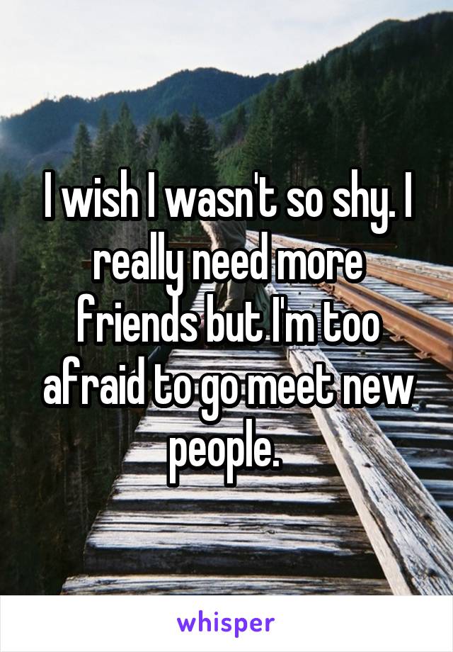 I wish I wasn't so shy. I really need more friends but I'm too afraid to go meet new people. 