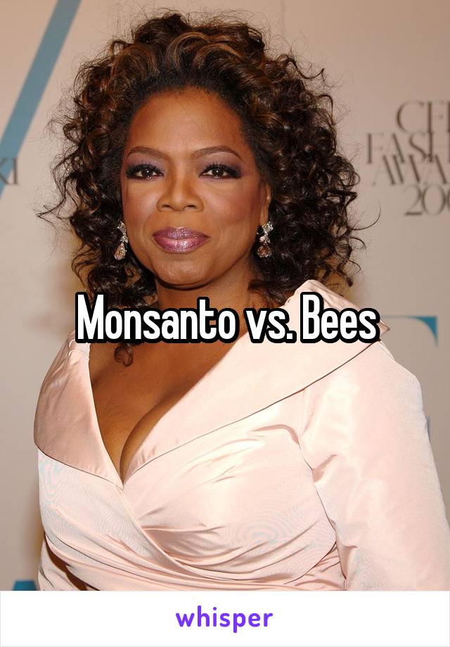 Monsanto vs. Bees