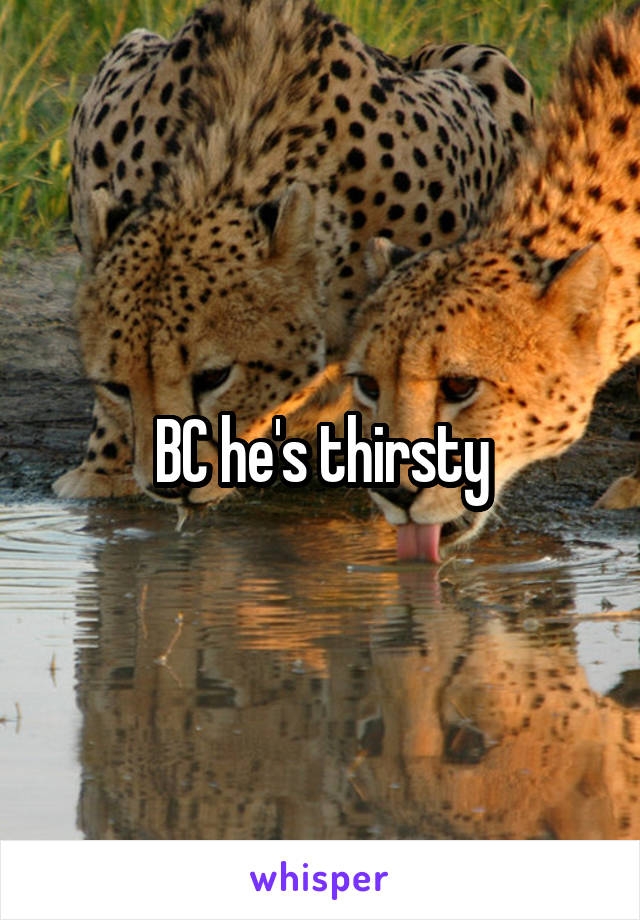BC he's thirsty