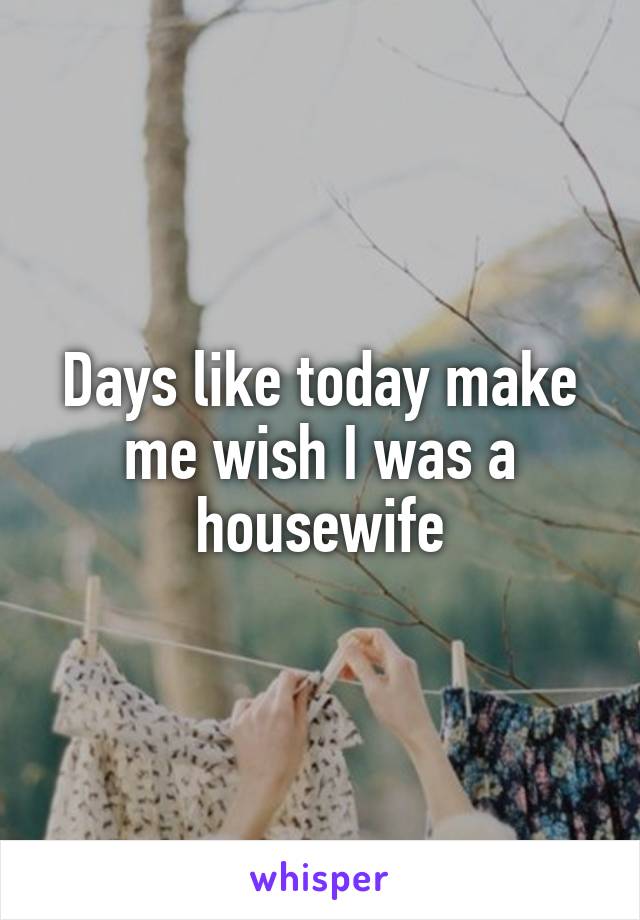 Days like today make me wish I was a housewife