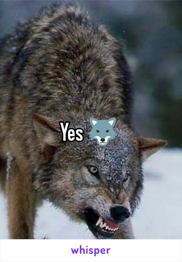 Yes 🐺 