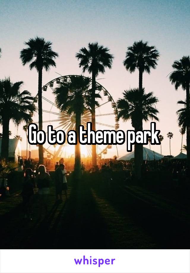 Go to a theme park 