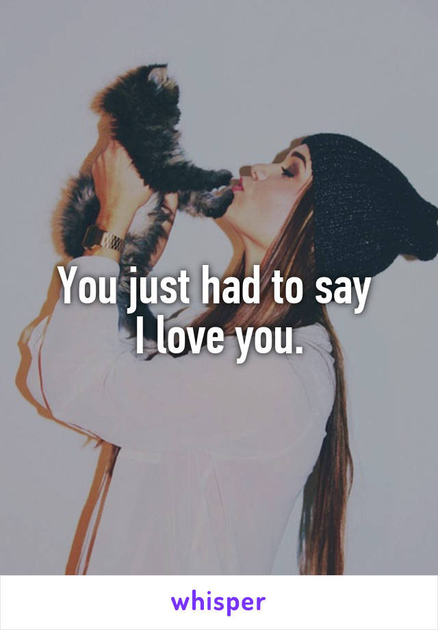 You just had to say 
I love you.