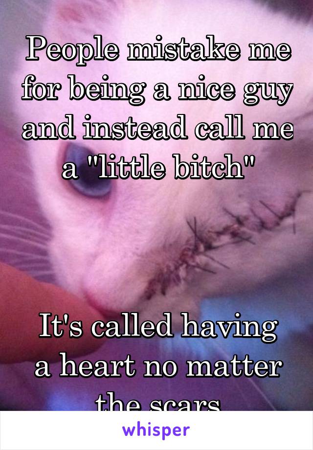 People mistake me for being a nice guy and instead call me a "little bitch"



It's called having a heart no matter the scars