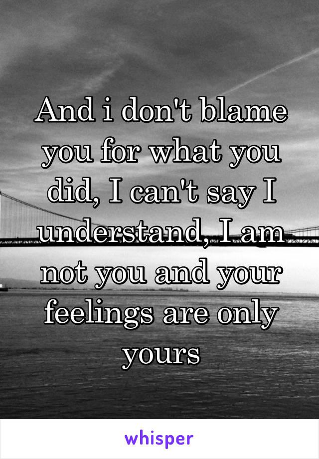 And i don't blame you for what you did, I can't say I understand, I am not you and your feelings are only yours