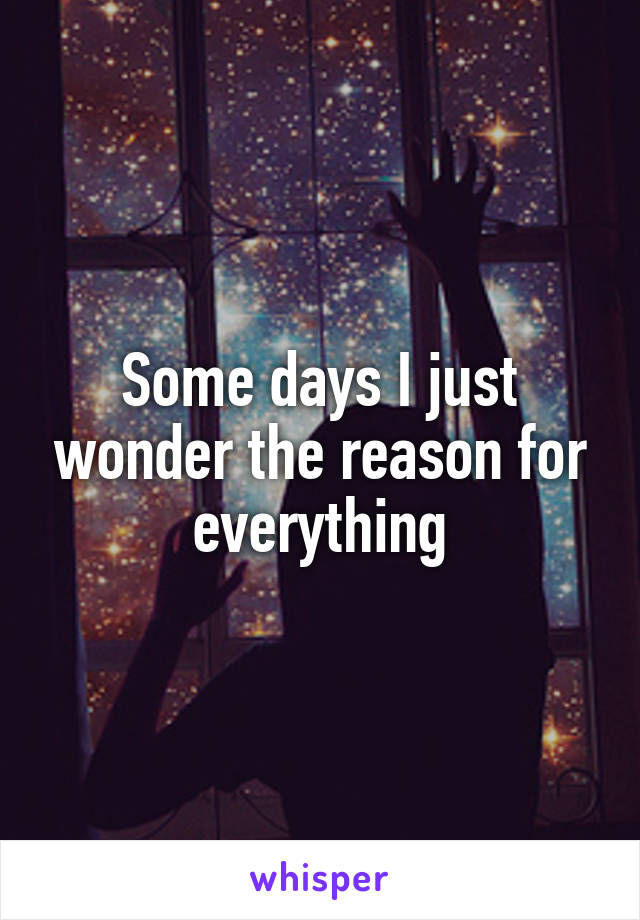 Some days I just wonder the reason for everything