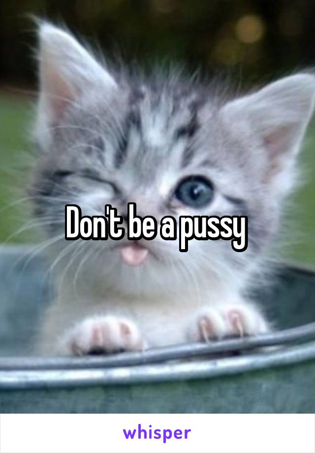 Don't be a pussy 