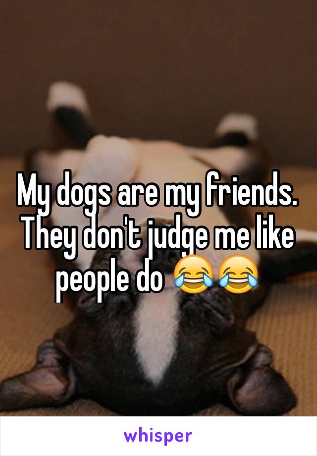 My dogs are my friends. They don't judge me like people do 😂😂