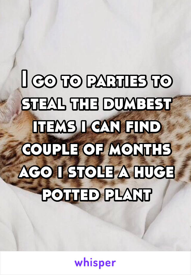 I go to parties to steal the dumbest items i can find couple of months ago i stole a huge potted plant