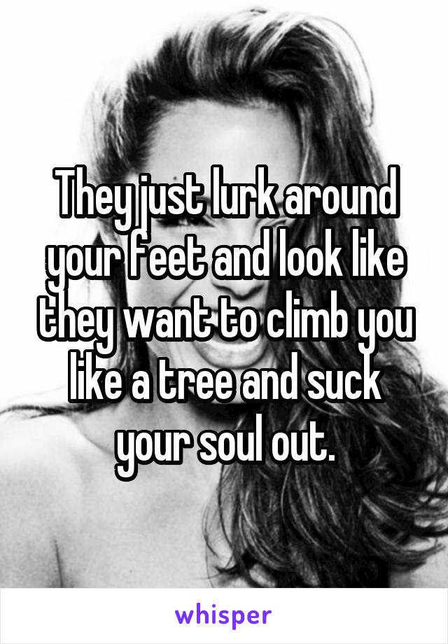 They just lurk around your feet and look like they want to climb you like a tree and suck your soul out.