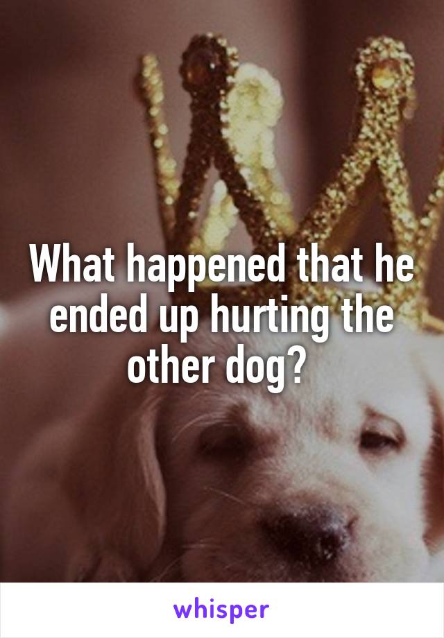 What happened that he ended up hurting the other dog? 