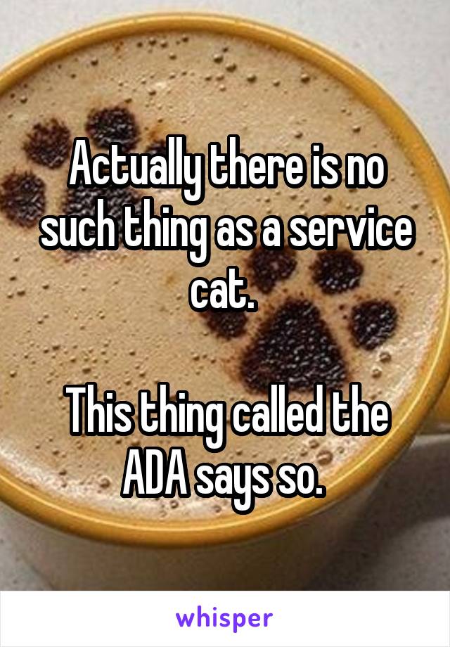 Actually there is no such thing as a service cat. 

This thing called the ADA says so. 